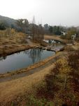 梅园风景