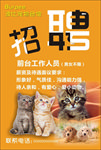 宠物店招聘