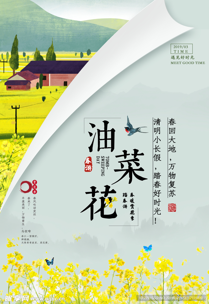 油菜花