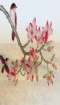 花鸟