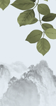 花鸟