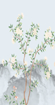 花鸟