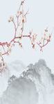 花鸟