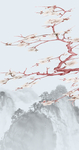 花鸟