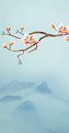 花鸟