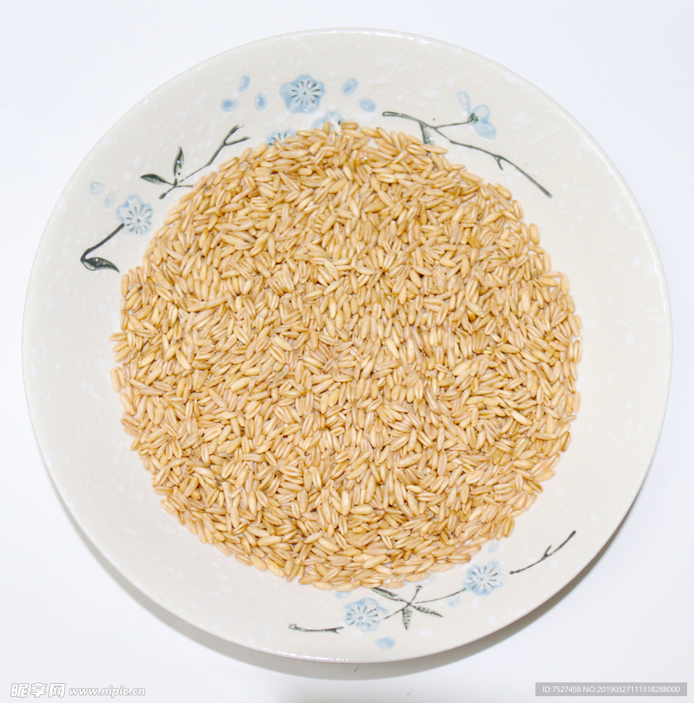 燕麦