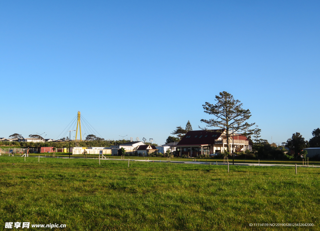 奥克兰农场风景