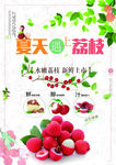 荔枝水果海报