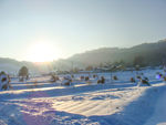 松岭雪村