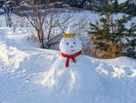 松岭雪村