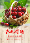 大樱桃