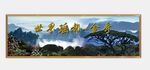 金秀 圣堂山  迎客松  瑶族