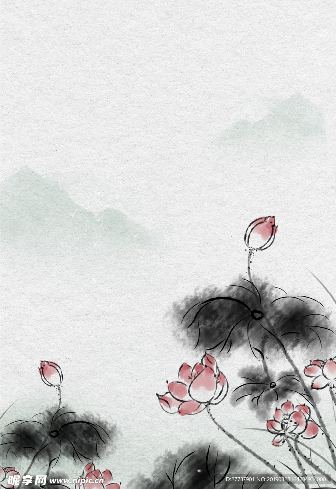荷花背景