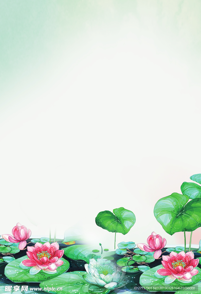 荷花背景