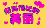 追星牌