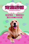 宠物海报 万千宠爱 一生相伴