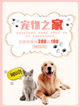宠物海报 万千宠爱 一生相伴