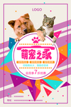 宠物海报 万千宠爱 一生相伴