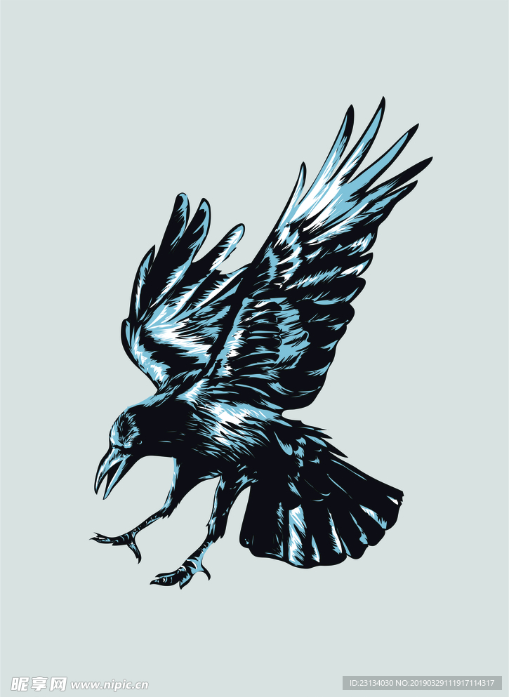 鸟