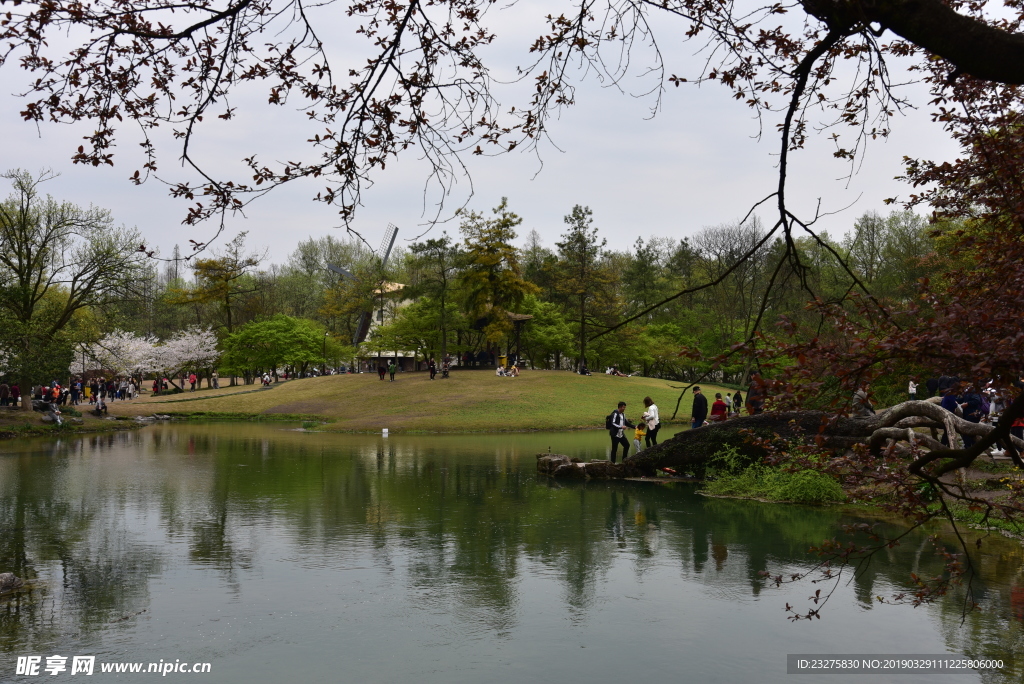 太子湾公园西湖美景