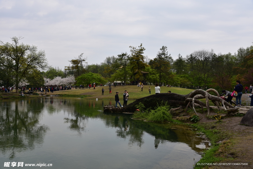 太子湾公园西湖美景