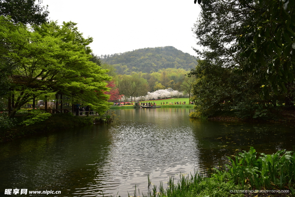 太子湾公园西湖美景