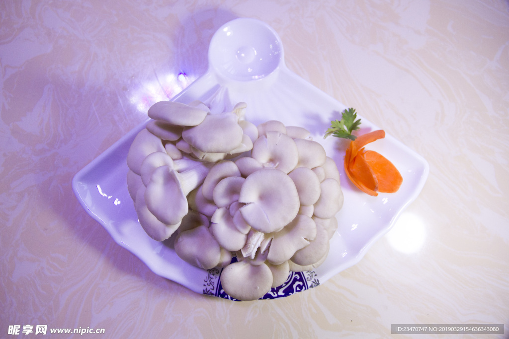 鲜菇 蘑菇