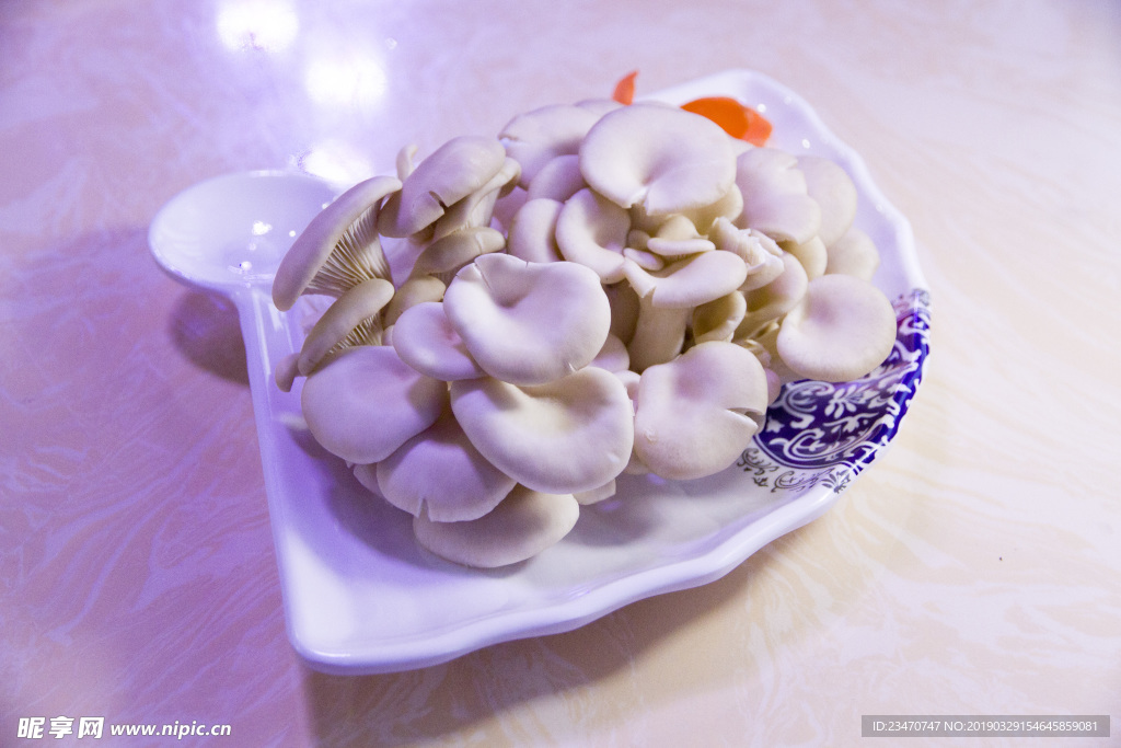鲜菇 蘑菇