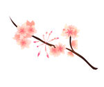 樱花