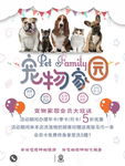 宠物店宣传单