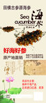 海参展架