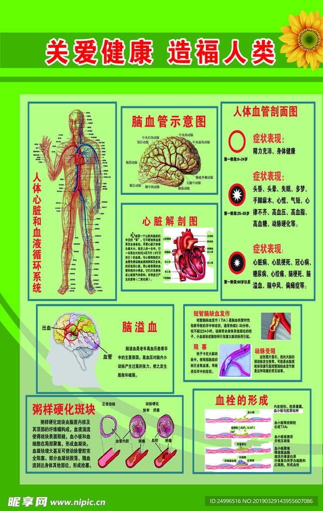 关爱健康