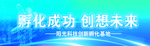 孵化 成功  创新 未来