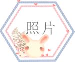 兔子相框