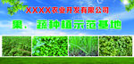 果蔬种植基地