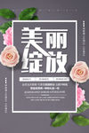 美丽绽放