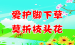 爱护脚下草莫折枝头花