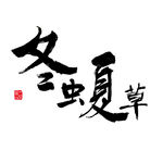 冬虫夏草