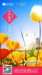 柬埔寨新年微信08