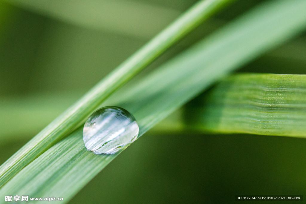 雨露