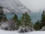 雪山松树海边