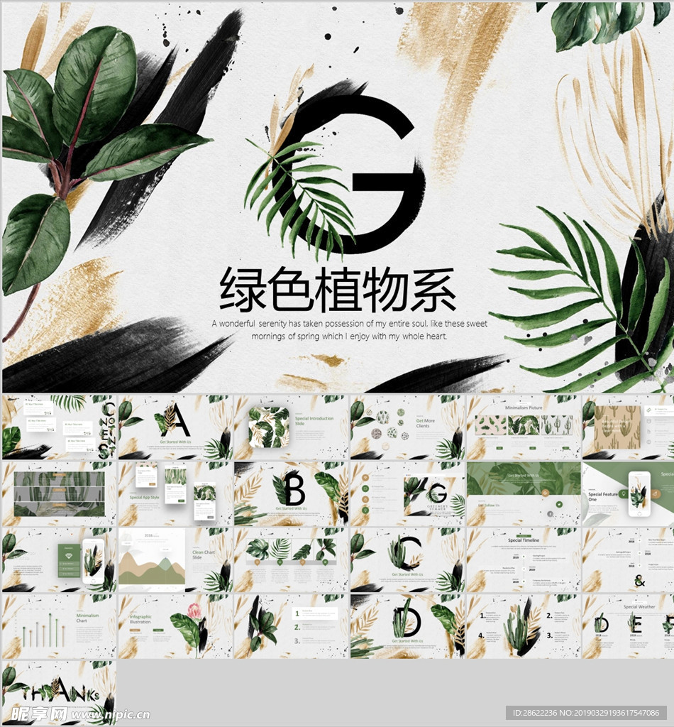 绿色植物系PPT