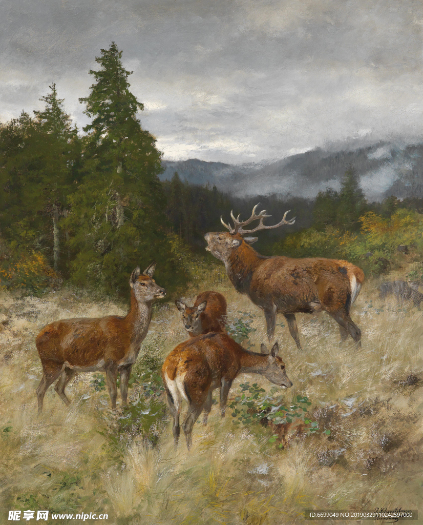 风景    油画图片