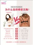添翼美海报