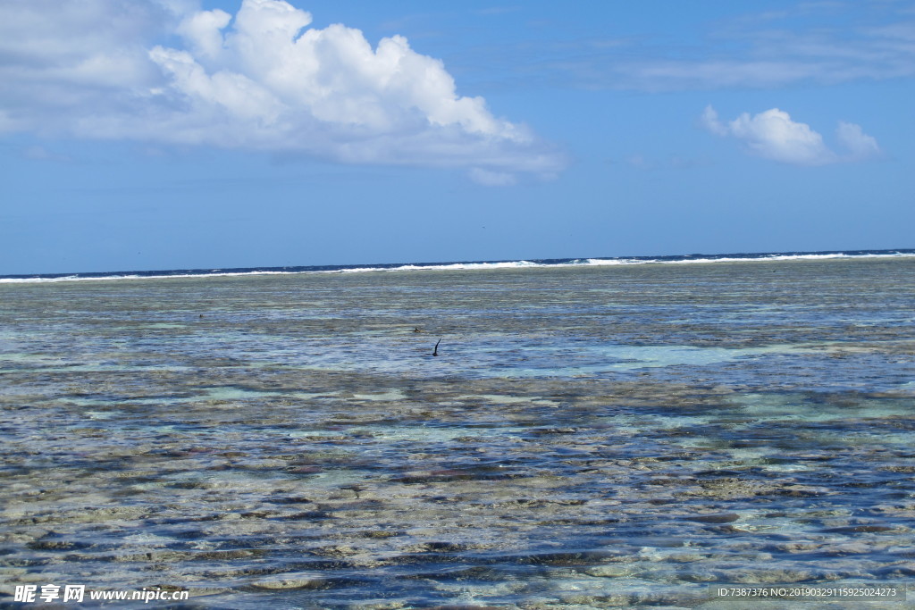 大海