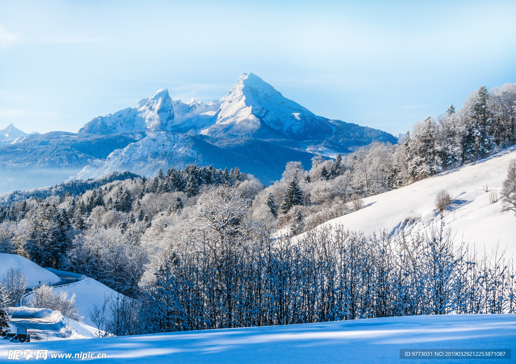 雪景