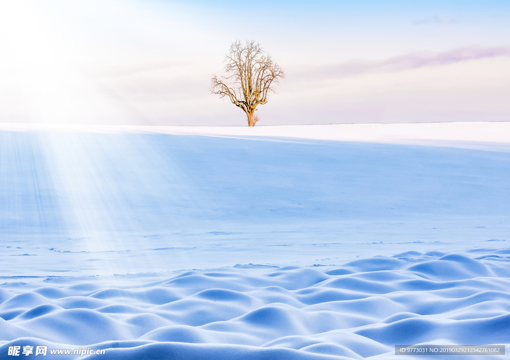 雪景