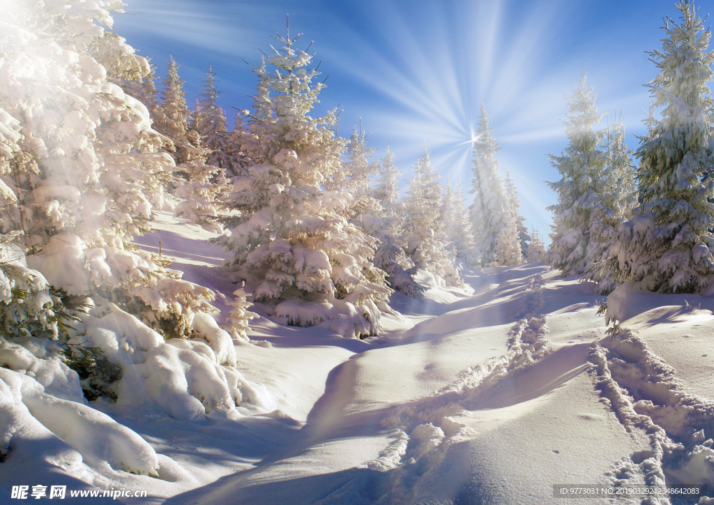 雪景