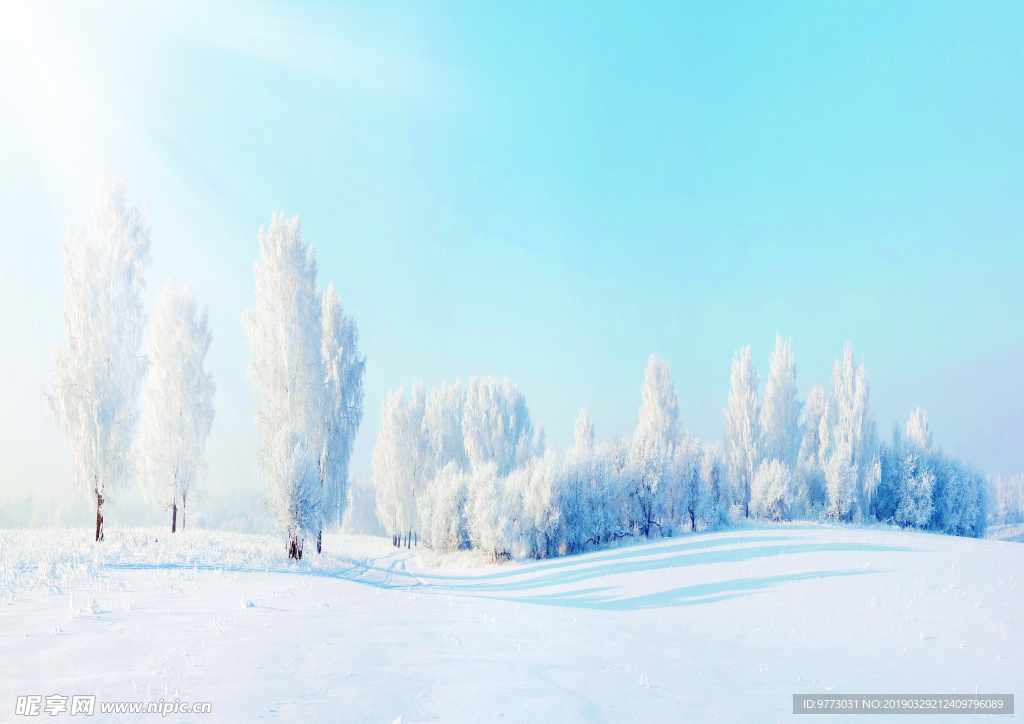 雪景