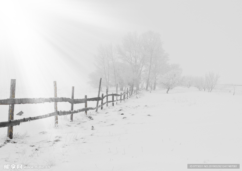 雪景